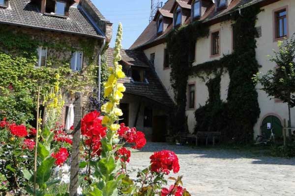 Dottenfelderhof (Demeter) – Hofladen, Hofcafé, Hofkäserei, Holzofenbäckerei